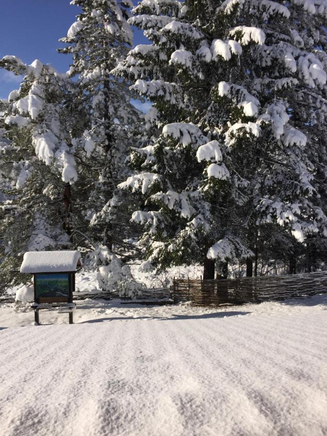 Plitvice Miric Inn Plitvička Jezera Екстериор снимка